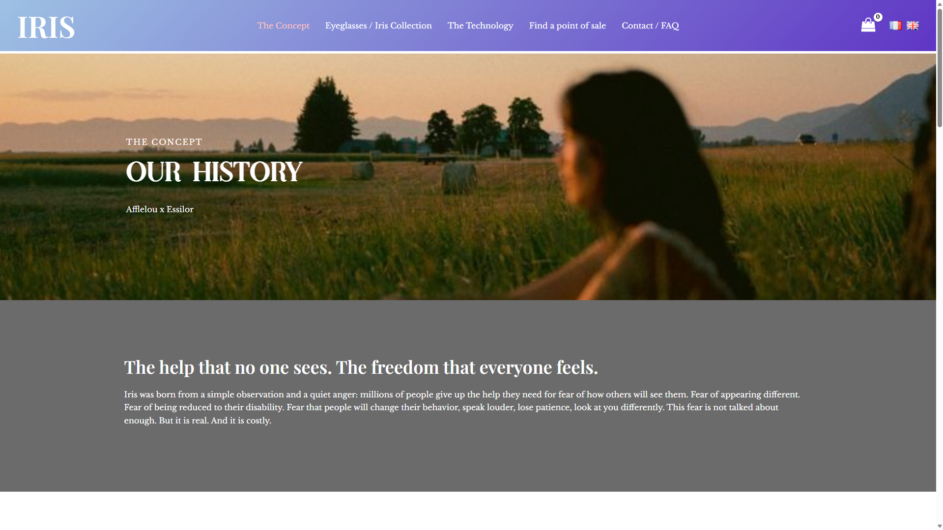 Page Concept du site en anglais